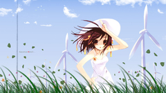 Green grass wind the