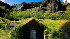 Green iceland rooftops turf house