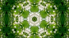 Green mandala