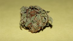 Green marijuana drugs kush nug