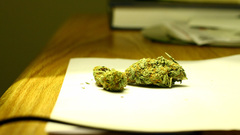 Green marijuana nuggets