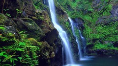 Green nature waterfalls