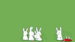 Green rabbit bunny