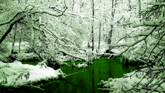 Green seconds in gimp