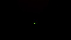 Green spot light