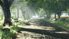 Green spring roads cryengine