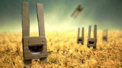 Green sun happy grass