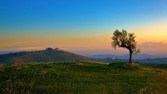 Green sunrise Landscapes hills