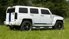 Green Trees cars fields