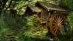 Green Trees forests home