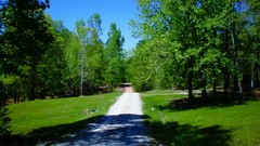 Green Trees roads Road