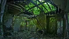 Green urban living room abandoned house
