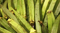 Green vegetable contrast okra