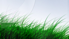 Green velvet artwork Art