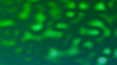 Green witch potion just