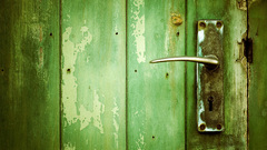 Green Wood grunge doors