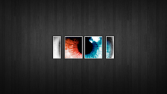 Greyshort eye not My