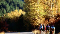 Groups canyon Bicycles cycling