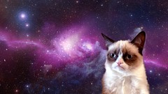 Grumpy cat manipulations