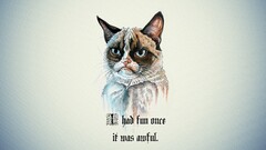 grumpy cat quote cartoon Animals Simple Background humor
