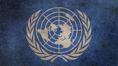 Grunge Flags United Nations