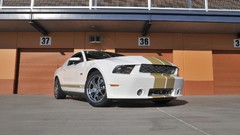 GT anniversary Ford Shelby