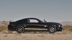 GT anniversary Ford Shelby