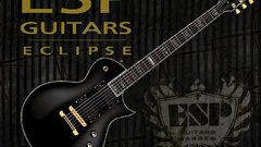 Guitar esp high 1000 ltd Mick