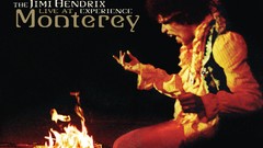 Guitarists musicians album covers Jimi Hendrix Experience