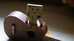 Guitars danboard