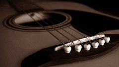 Guitars Musical Instruments