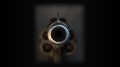 Gun image The stole off This