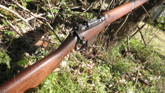 Guns weapons lee Enfield