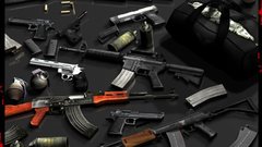 Guns zombies hunter Magnum