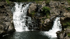 Guy 100 This law Martial hurr durr