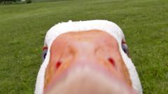 Guys! You see Which lgkhgj