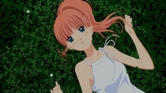 Hachimitsu to Clover honey