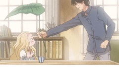 Hachimitsu to Clover honey