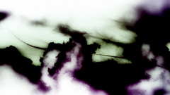 Had wider variety wouldn