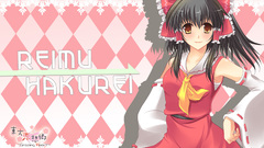 Hakurei reimu detached sleeves