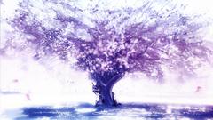 Hakurei reimu touhou kirisame