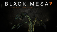 Half-life black mesa