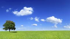 Halfsizethe full version is