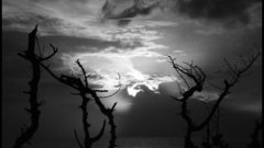 Halloween high Resolution trishvandenberg