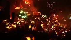 Halloween pumpkins jack-o-lanterns