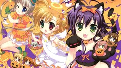 Halloween yagami hayate nekomimi