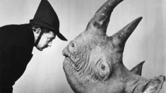 Halsm dalirhino for You