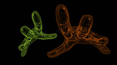 Hands 3d art fingers