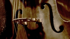 Hands bass bass violin