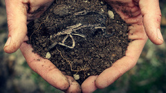 Hands dirt soil Terra